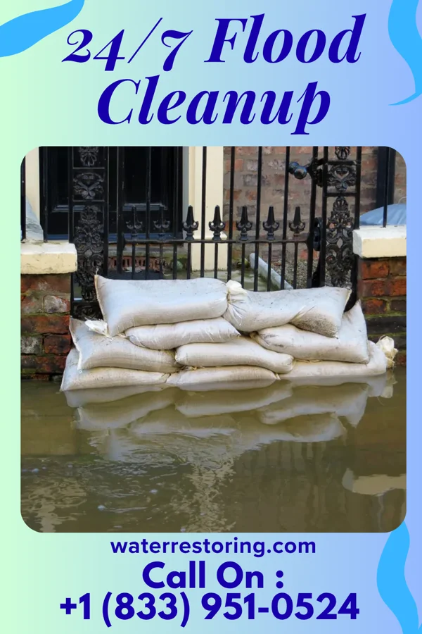 24/7 Flood Cleanup in East Jordan, MI