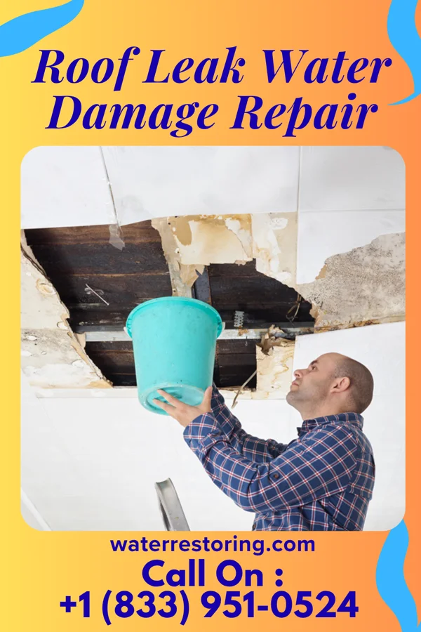 Roof Leak Water Damage Repair in East Jordan, MI