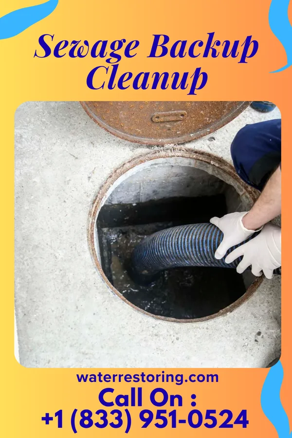 Sewage Backup Cleanup in East Jordan, MI